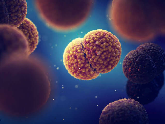 Día mundial de la Meningitis: las claves para prevenirla