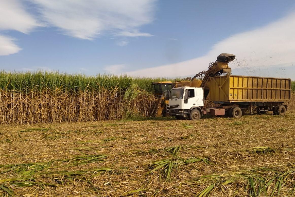 Tucumán sostiene una buena cosecha y ya molió más de 2,6 millones de toneladas de caña