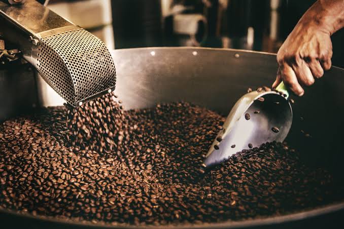 Tucumán busca diversificar su producción con café de origen argentino