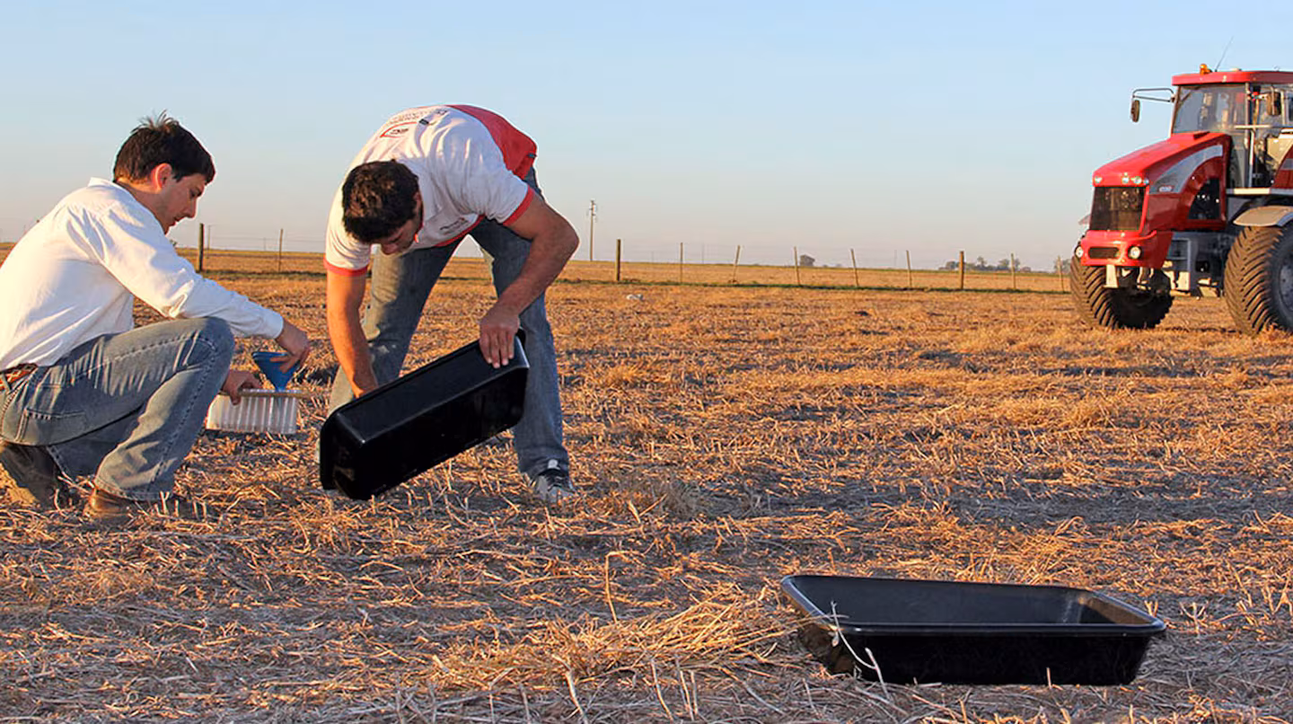 Fertilizantes por las nubes: Argentina pagó US$180 millones extra por la suba de precios