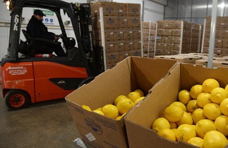 Tucumán crece en exportaciones, pero la concentración nacional vuelve a marcar las desigualdades