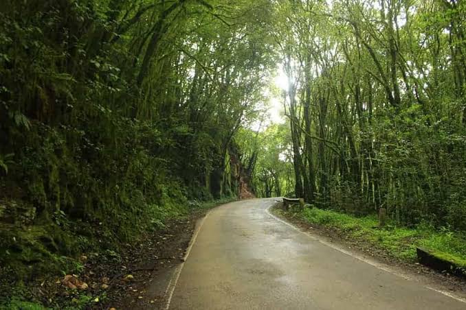 El camino de Tucumán que cambia de paisaje en menos de una hora