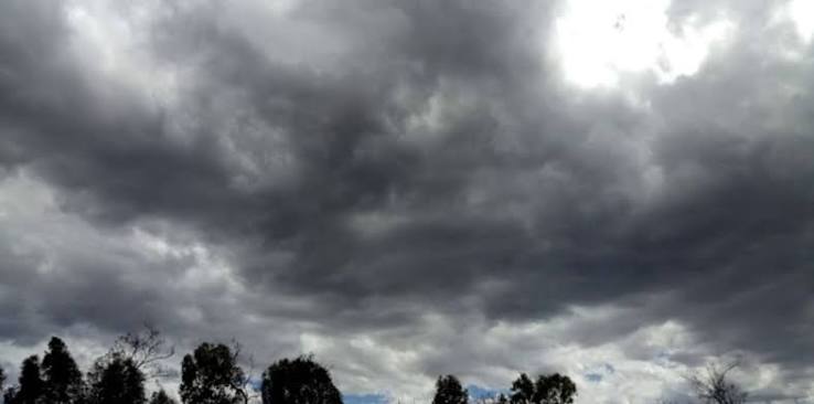 Miércoles gris: neblina, cielo nublado y una máxima de 24°