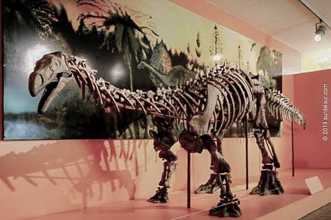 El museo más curioso de Tucumán y por qué vale la pena conocerlo